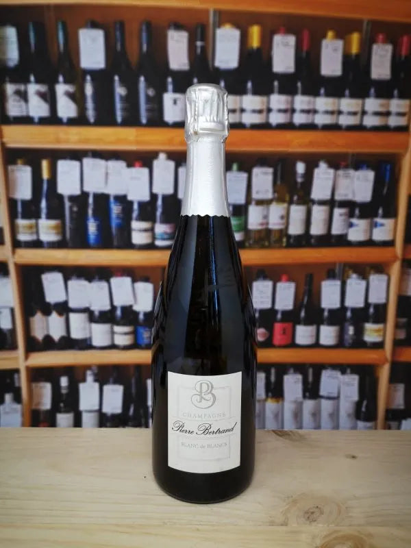 Pierre Bertrand Brut Blanc de Blancs 2019 Vintage