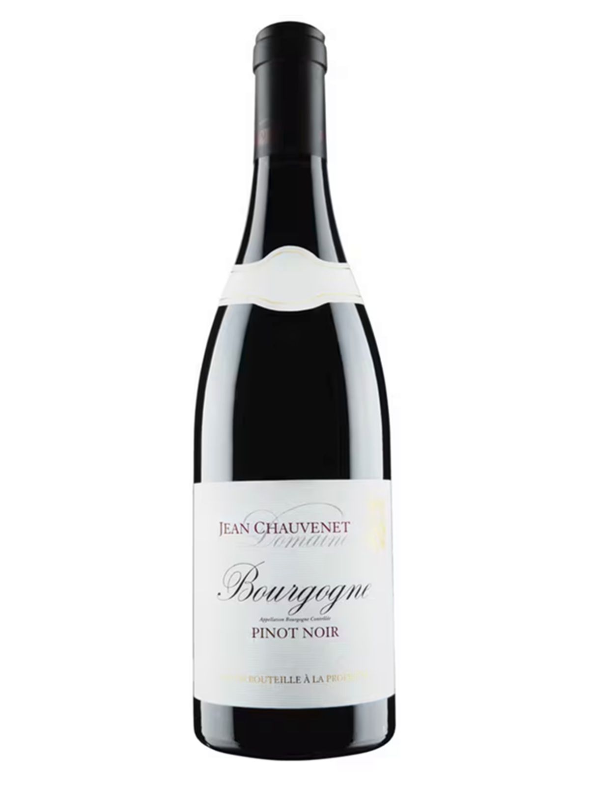 Bourgogne Pinot Noir 2022 Domaine Jean Chauvenet
