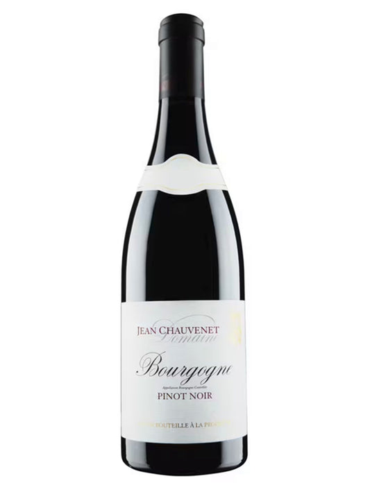 Bourgogne Pinot Noir 2022 Domaine Jean Chauvenet