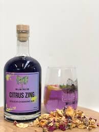 Citrus Zing Willow Tree Gin 40% 50cl, Bedfordshire